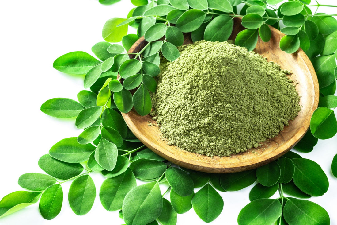 Benefits of Moringa Tea - 9Season