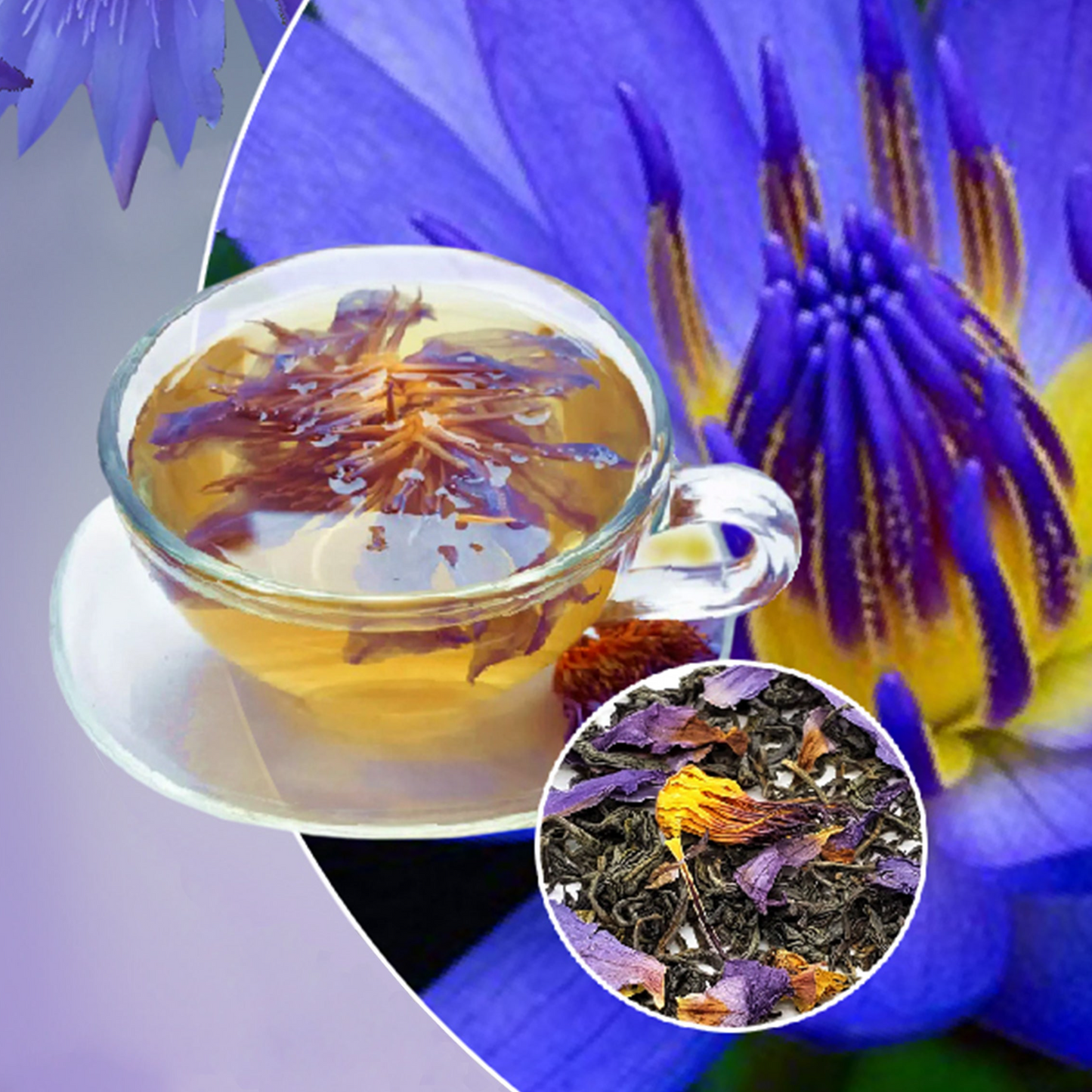 Blue Lotus Flower Tea - 25 Tea Bags