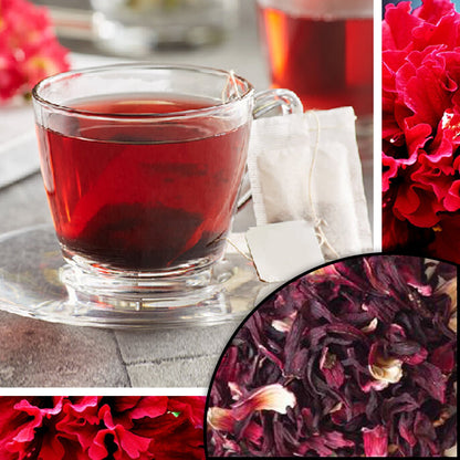 Hibiscus Tea - 25 Tea Bags 25g